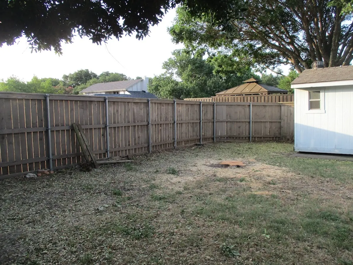 Cleared yard after professional tree removal in Henryville