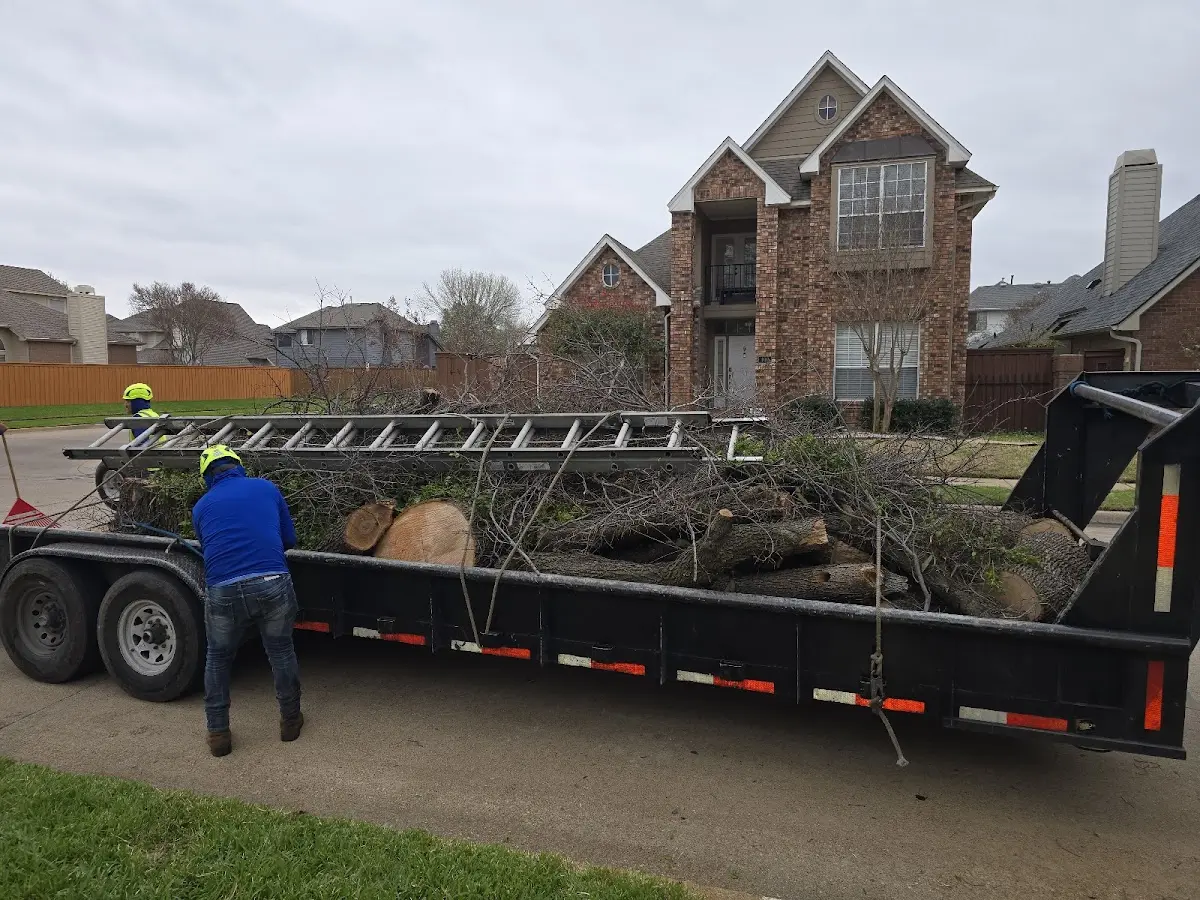 Expert Tree Removal with proper safety equipment in Henryville